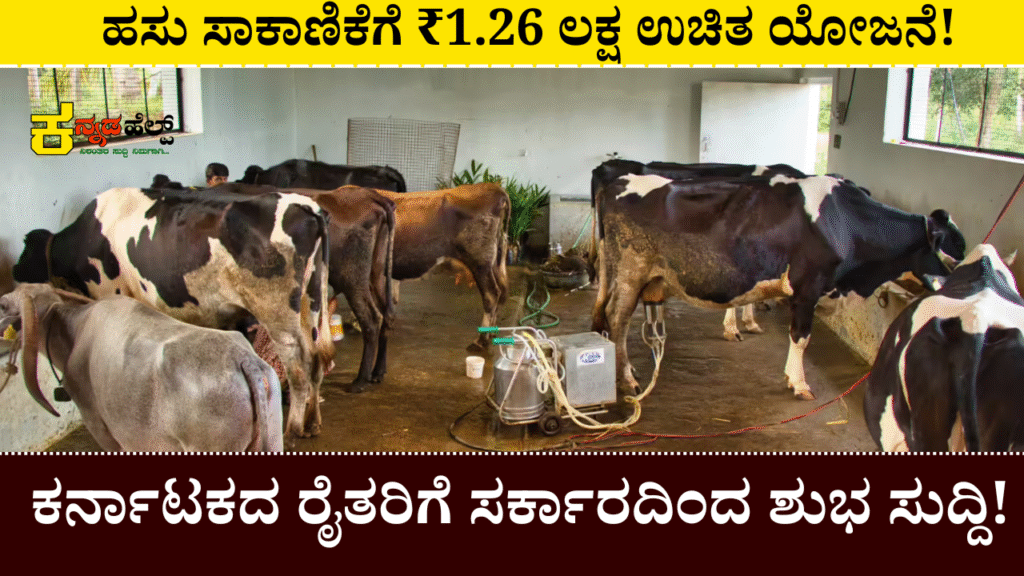 Dairy Subsidy